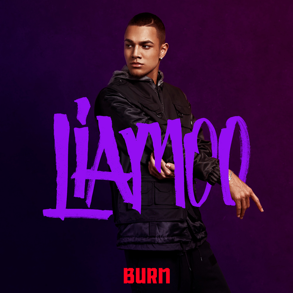 Liamoo-Burn-Final-WEB